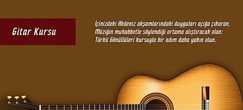 Türkü Gönüllüleri