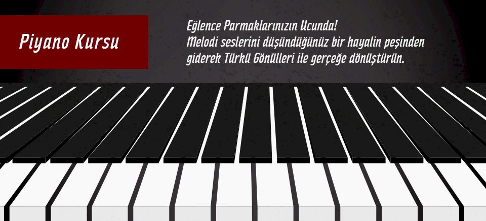 Türkü Gönüllüleri