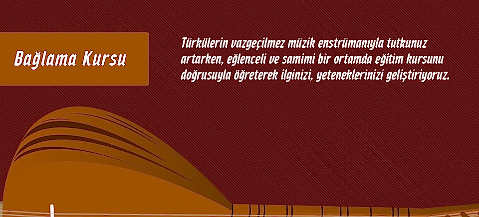 Türkü Gönüllüleri